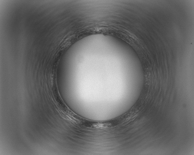 X0000060220558200510280914