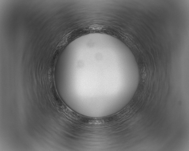 X0000060220559200510280914