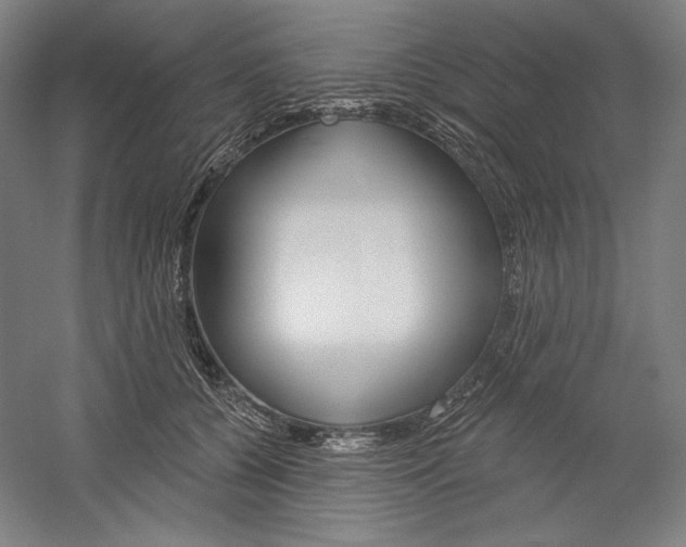 X0000060220560200510280914