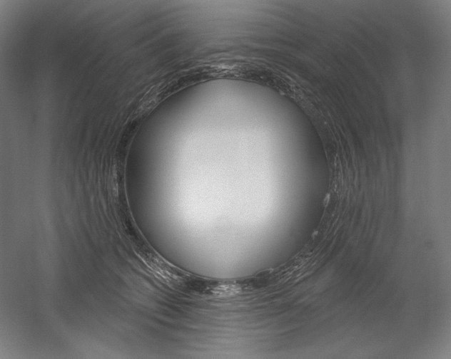 X0000060220562200510280914