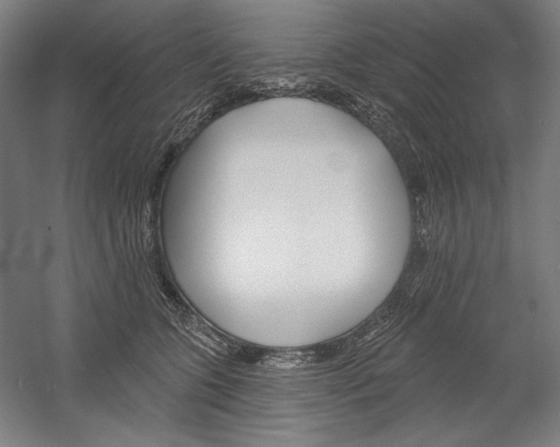 X0000060220563200510280914