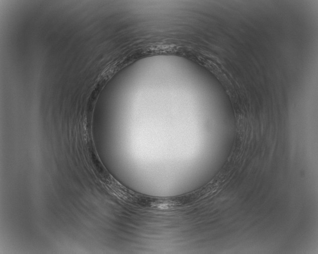 X0000060220564200510280914