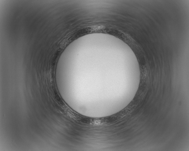X0000060220565200510280914