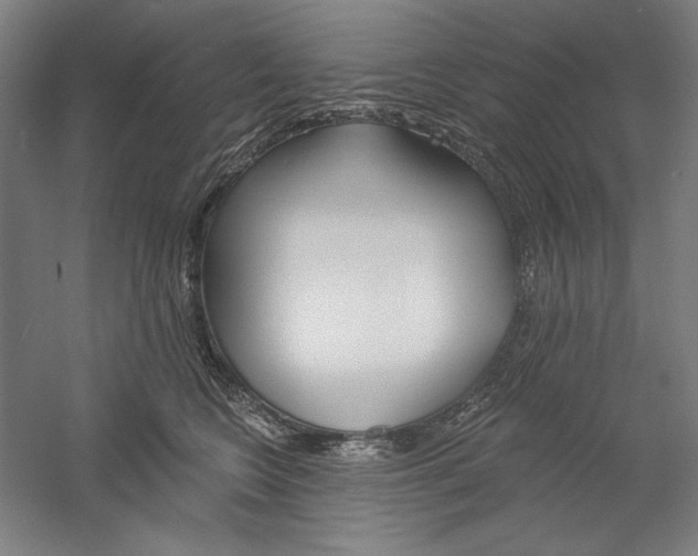 X0000060220566200510280914