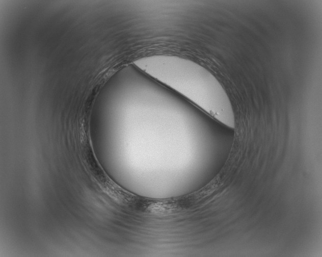 X0000060220568200510280914