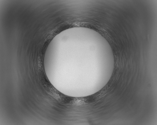 X0000060220569200510280914