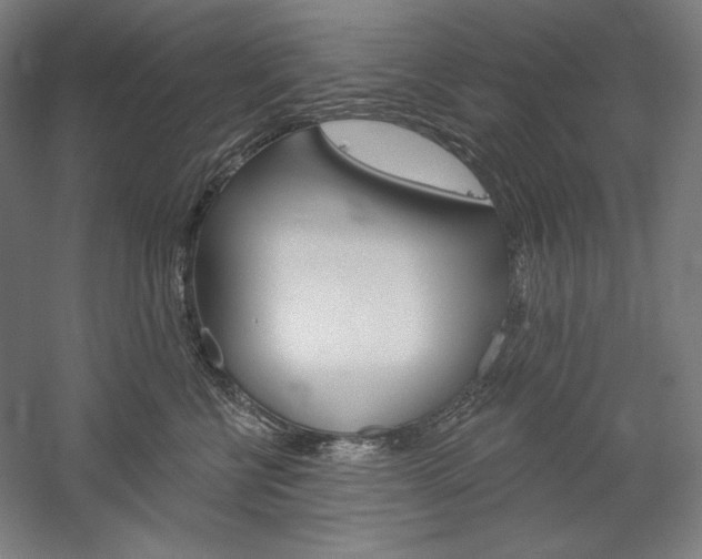 X0000060220570200510280914