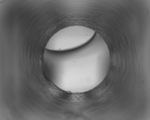 X0000060220571200510280914