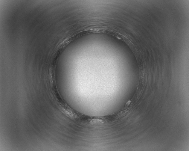 X0000060220572200510280914