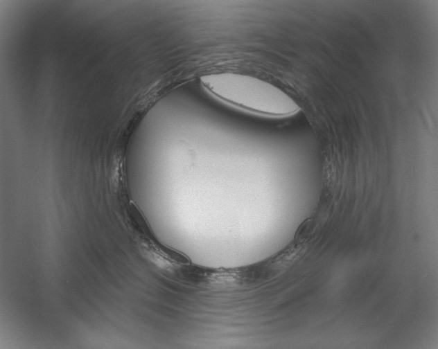 X0000060220574200510280914