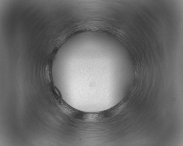 X0000060220575200510280914