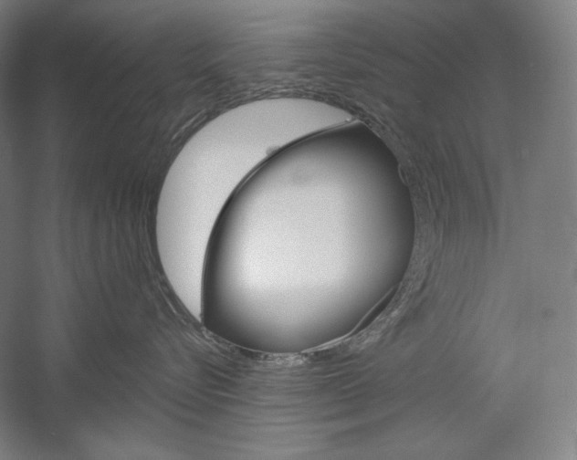 X0000060220576200510280915