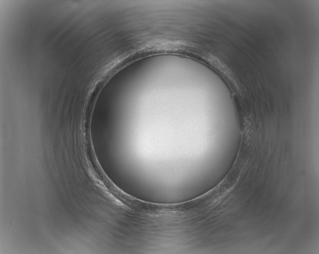 X0000060220581200510280914