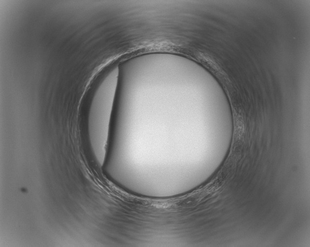 X0000060220583200510280914