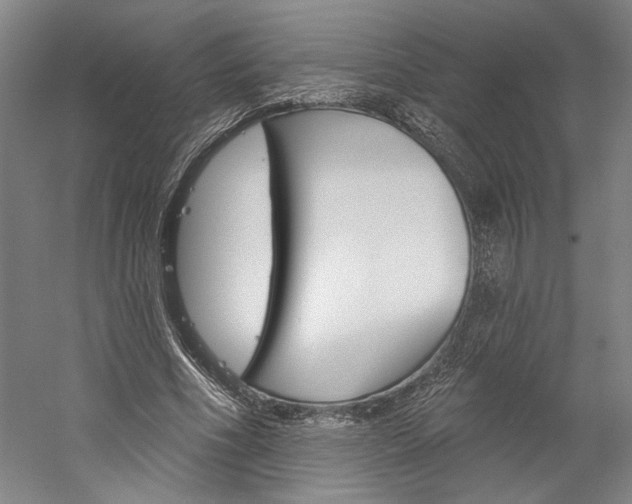 X0000060220586200510280914