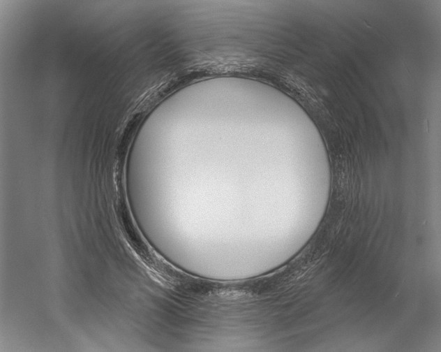 X0000060220590200510280913