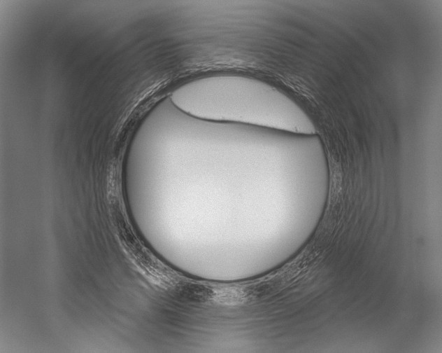 X0000060220591200510280913