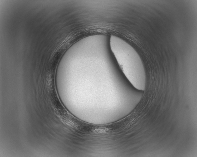 X0000060220595200510280913