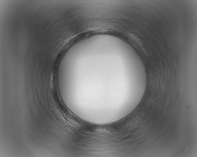 X0000060220596200510280913