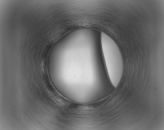 X0000060220597200510280913