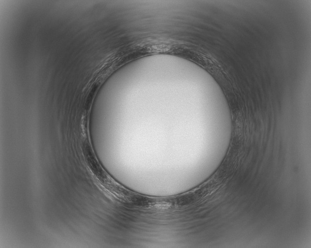 X0000060220598200510280913