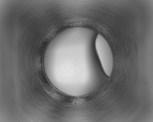 X0000060220599200510280913