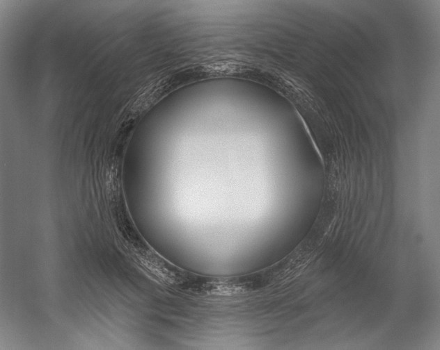 X0000060220601200510280913