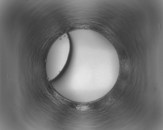 X0000060220602200510280913