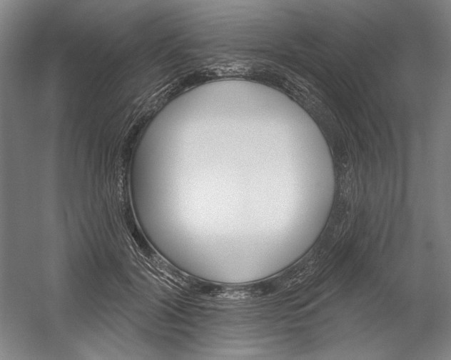 X0000060220604200510280913