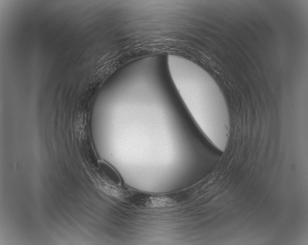 X0000060220605200510280913