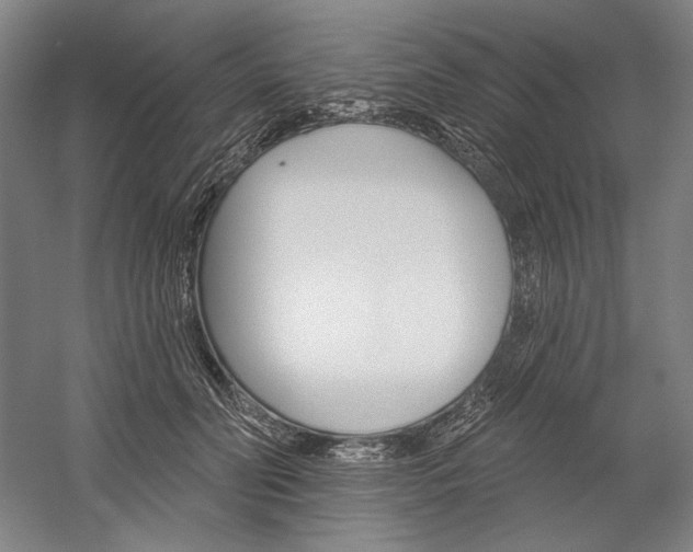 X0000060220606200510280913