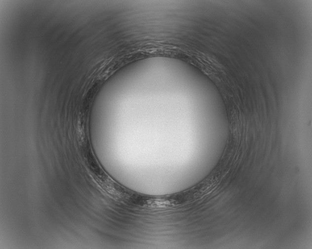 X0000060220607200510280913