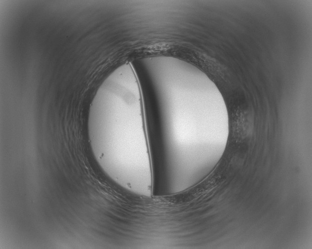 X0000060220608200510280913