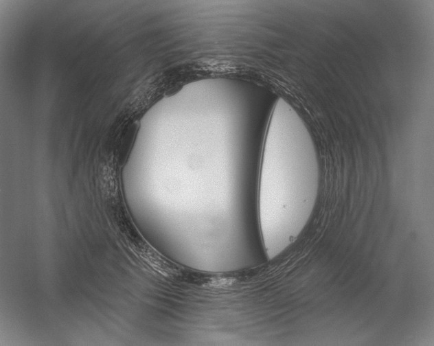 X0000060220609200510280913