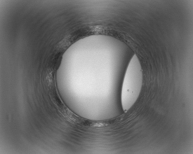 X0000060220611200510280913