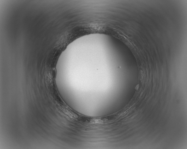 X0000060220613200510280913