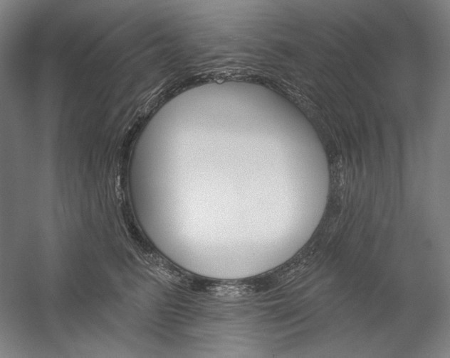 X0000060220615200510280913