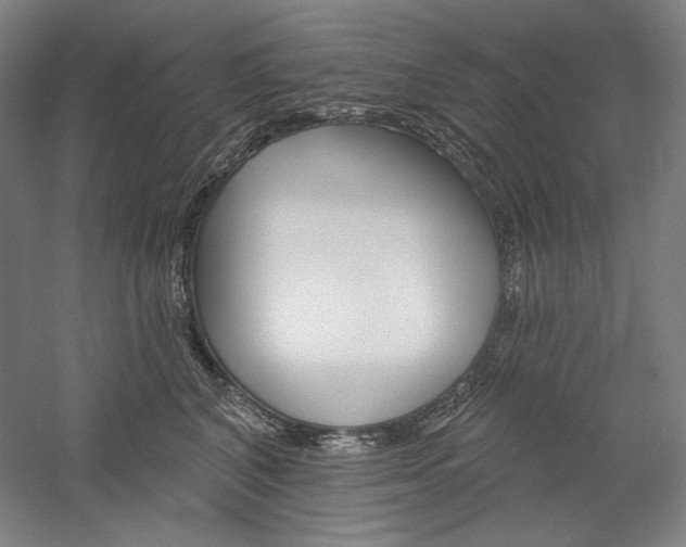 X0000060220616200510280913