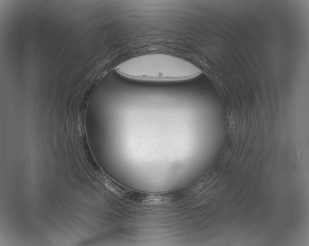 X0000060220617200510280913