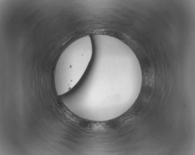 X0000060220618200510280913