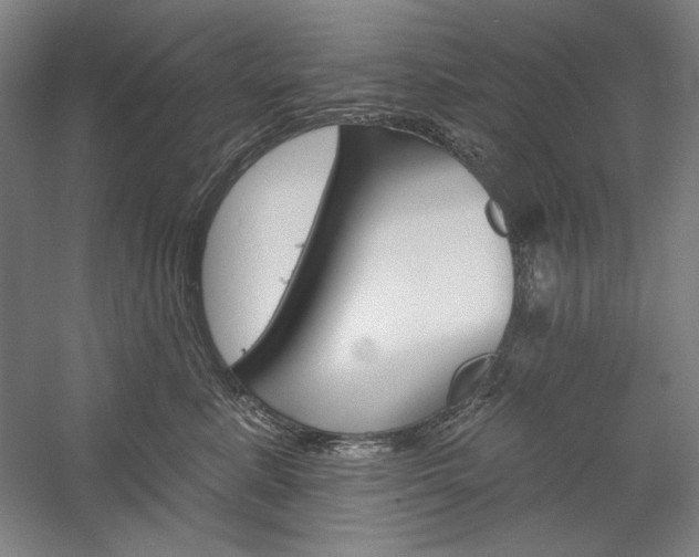 X0000060220619200510280913