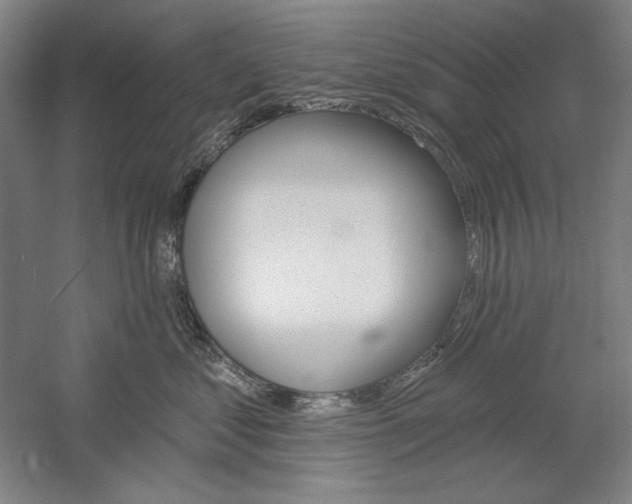 X0000060220621200510280913
