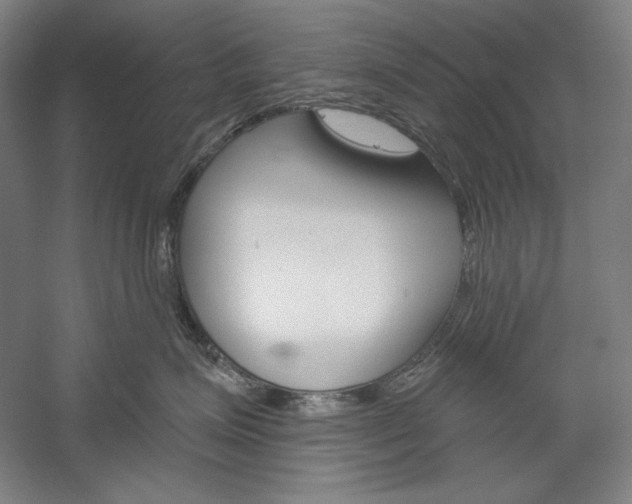 X0000060220623200510280913