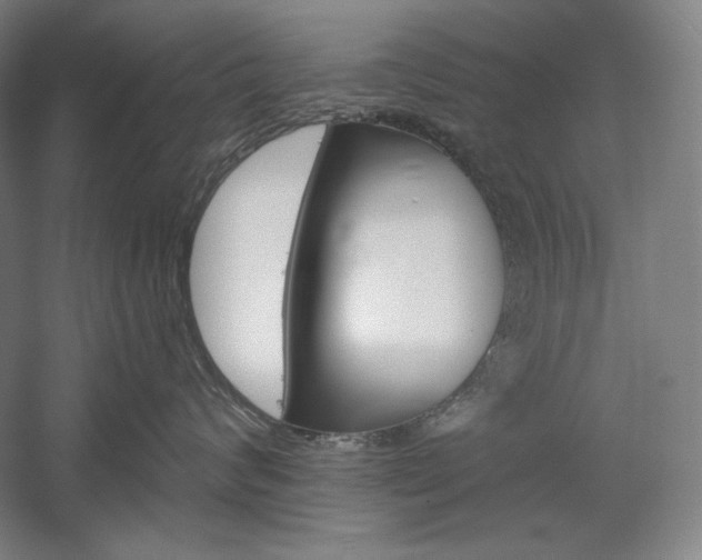 X0000060220624200510280913