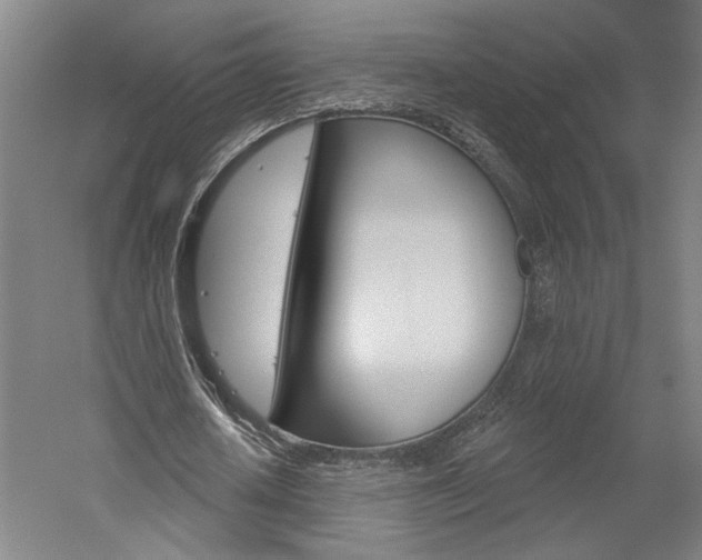X0000060220626200510280912