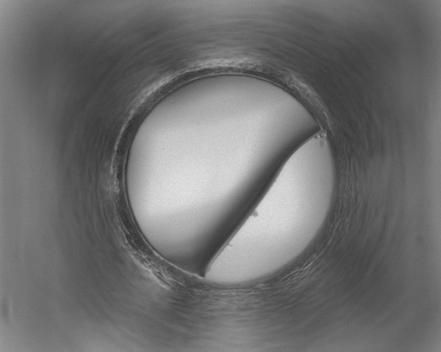 X0000060220628200510280912