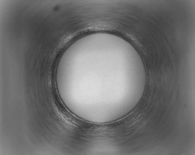 X0000060220631200510280912