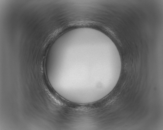 X0000060220633200510280912