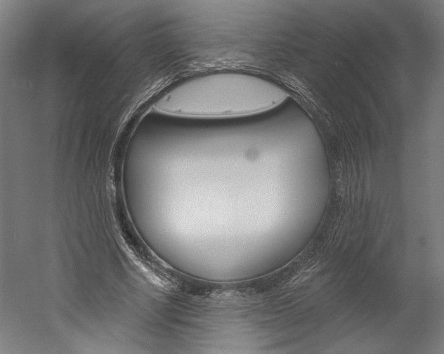 X0000060220634200510280912