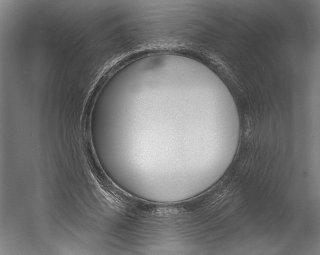 X0000060220636200510280912